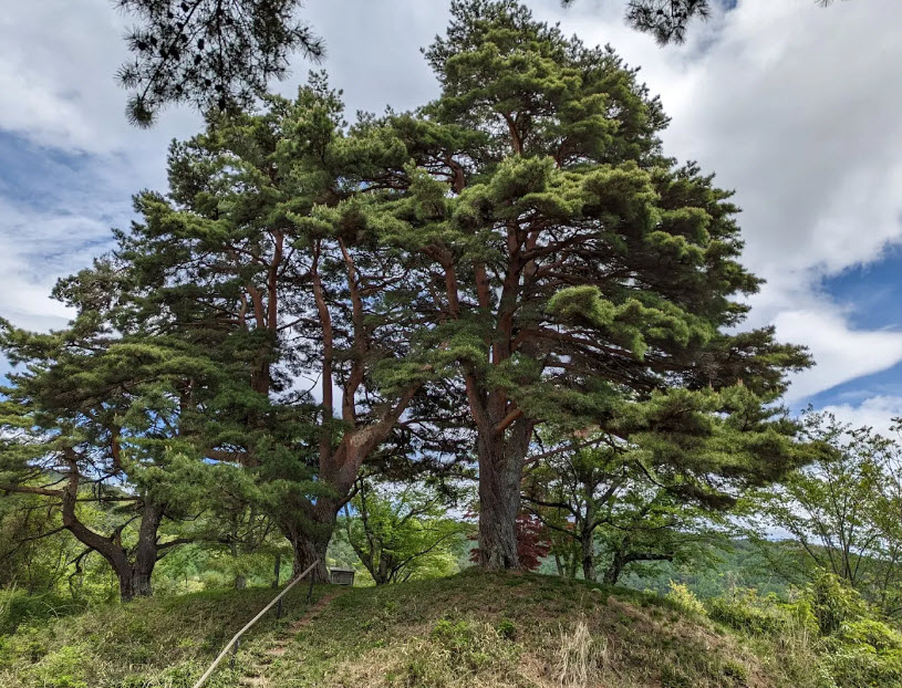 Kuwabara Castle Ruins, Japan